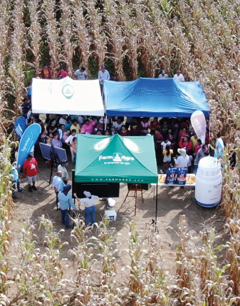 ASESORAMIENTO Y ASISTENCIA TÉCNICA