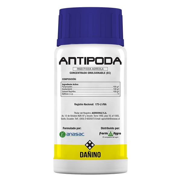 ANTIPODA - 400 CC
